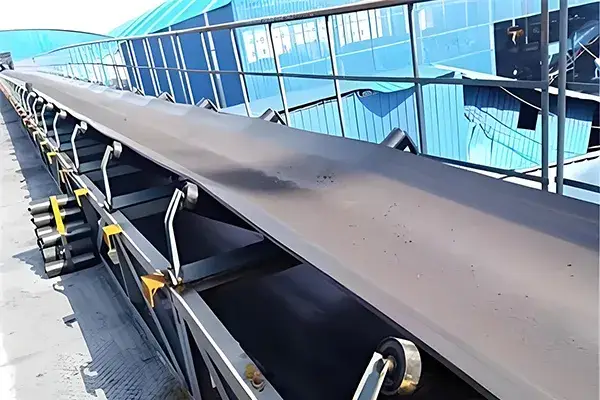 Chemical Resistant Conveyor Belt