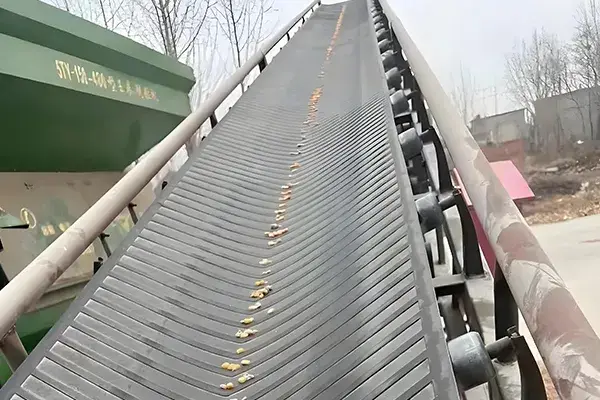 Chevron Conveyor Belt